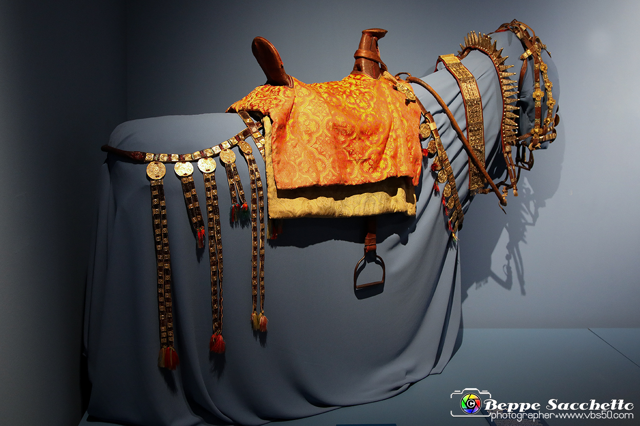 VBS_5593 - Africa - Le collezioni dimenticate.jpg